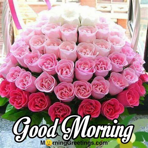 images of good morning with roses